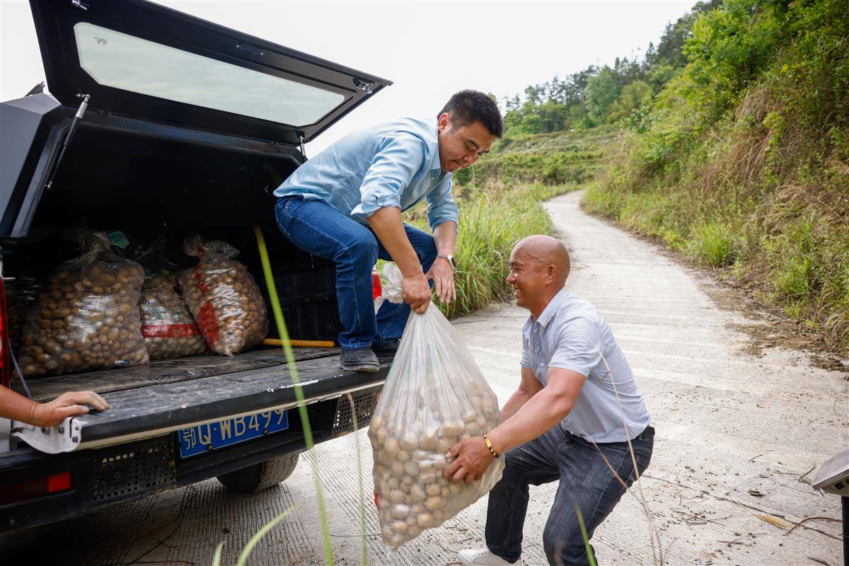 微信图片_20250516152440.jpg WG彩票