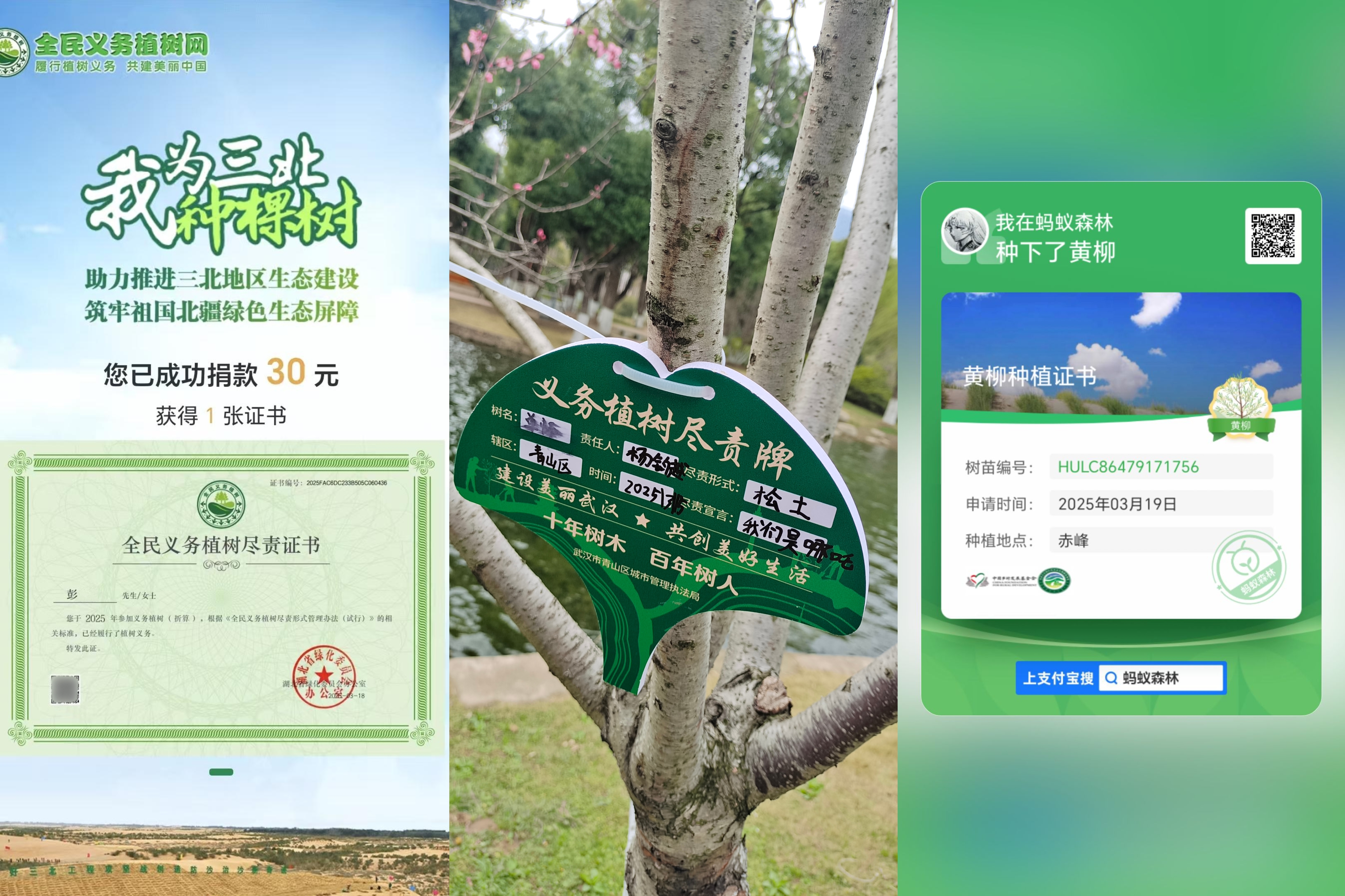 植树节.jpg WG彩票