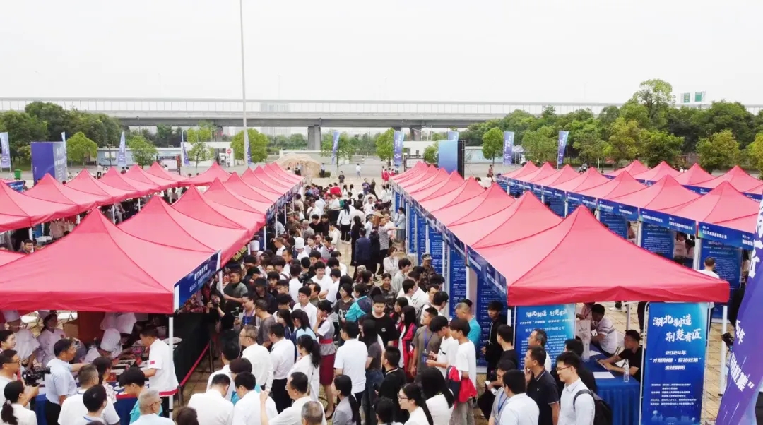 64001.webp.jpg WG彩票