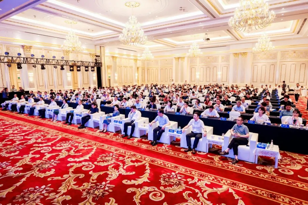 01.webp.jpg WG彩票